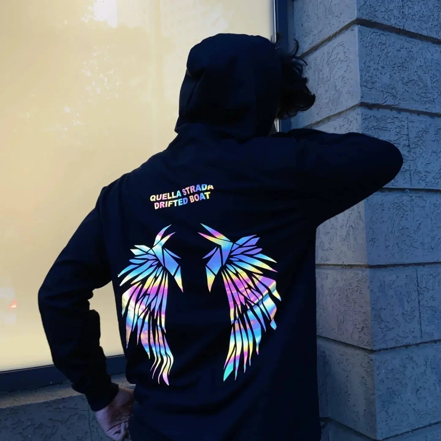 Wings On Fire Hoodie
